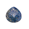 Natural Lapis Lazuli Pendants PW-WGA3F55-07-1