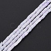 Glass Silk Stain Style Beads Strands GLAA-N047-001B-10-2