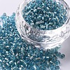 8/0 Glass Seed Beads SEED-A005-3mm-23-1