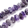 Natural Amethyst Beads Strands G-I283-F04-1