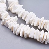 Natural Sea Shell Beads Strands BSHE-K012-08E-3