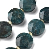 Natural Apatite Beads Strands G-C116-A159-03-2