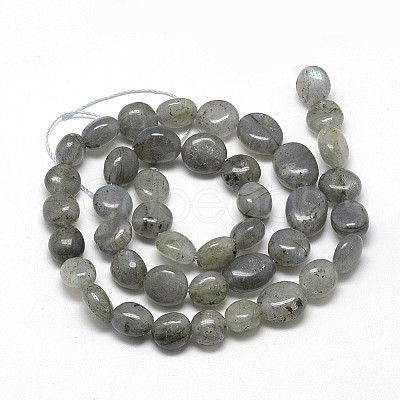 Natural Labradorite Beads Strands X-G-R445-8x10-20-1