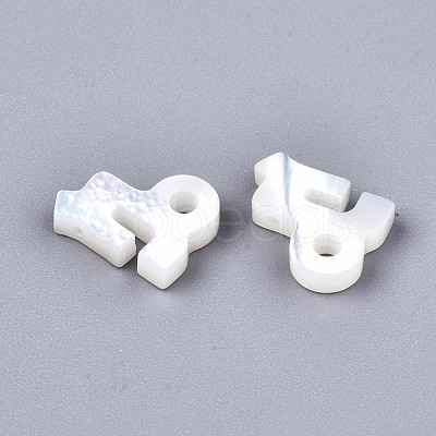 Natural White Shell Beads X-SSHEL-ZX004-02K-1
