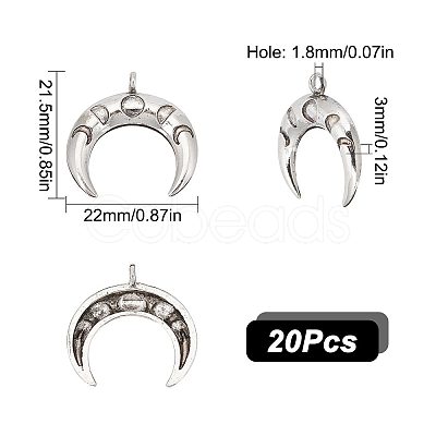 Tibetan Style Alloy Pendants FIND-SC0004-55-1