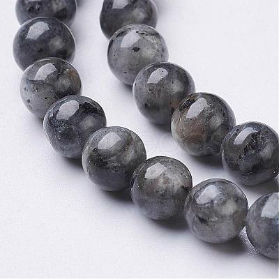 Natural Larvikite Beads Strands GSR6mmC128-1