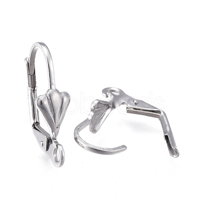 Tarnish Resistant 304 Stainless Steel Leverback Earring Findings X-STAS-K198-02P-1