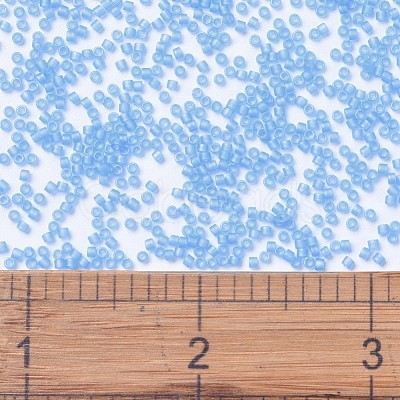 MIYUKI Delica Beads SEED-J020-DB1284-1