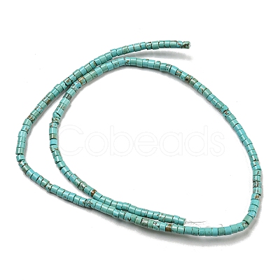 Natural Turquoise Beads Strands X-G-C084-D10-02-1
