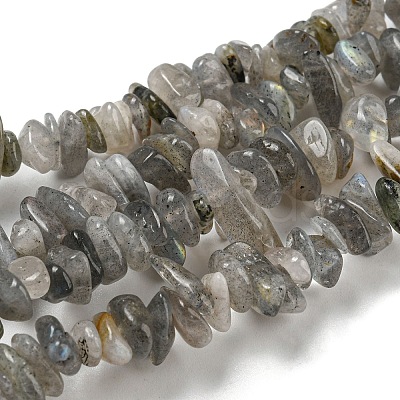 Natural Labradorite Chip Bead Strands G-M205-13-1