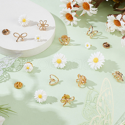 24Pcs 12 Style Resin & Alloy Brooches JEWB-GA00007-1
