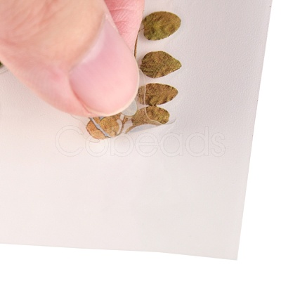 Waterproof Plastic Self Adhesive Stickers DIY-F064-13C-1