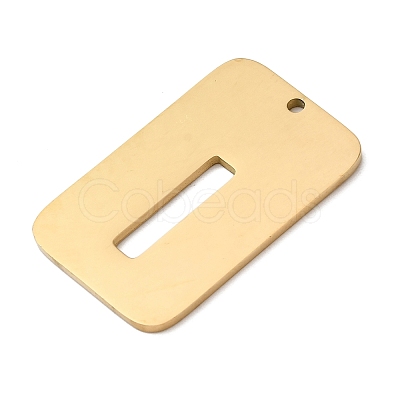 304 Stainless Steel Pendants STAS-D200-01I-G-1