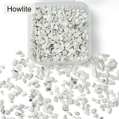 50G Natural Howlite Chip Beads G-YW0001-70-1