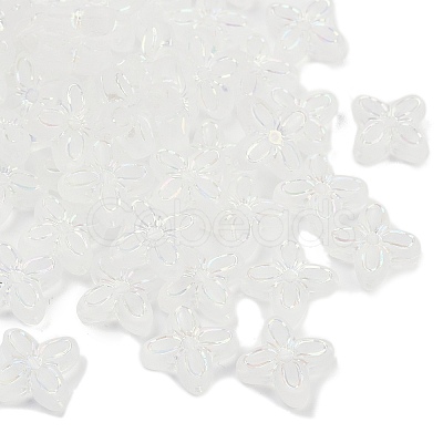 Frosted Transparent Acrylic Beads OACR-P029-09B-05-1