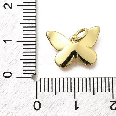 Brass Enamel Charms KK-Z093-07G-02-1