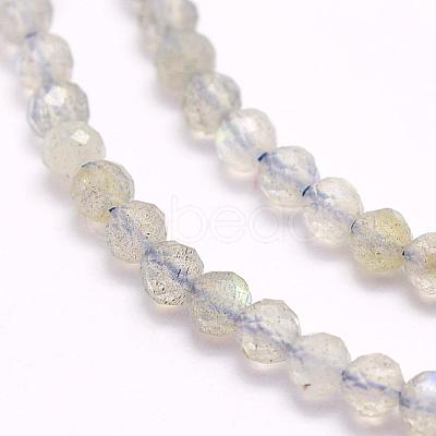 Natural Labradorite Beads Strands G-F509-03-4mm-1