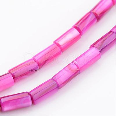 Natural Shell Bead Strands BSHE-P016-09-1