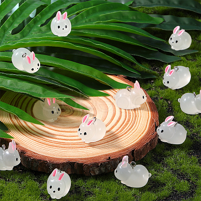 30Pcs Luminous Translucent Resin Pendants RESI-SZ0003-34-1
