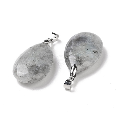 Natural Labradorite Pendants G-D084-01P-B22-1
