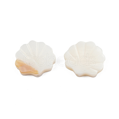 Natural Freshwater Shell Beads SHEL-T007-02-1