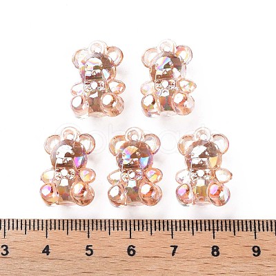 Transparent Acrylic Pendants MACR-S373-113-C06-1