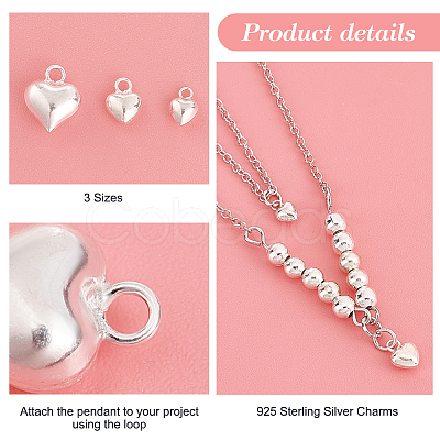 6Pcs 3 Style 925 Sterling Silver Charms STER-PH0001-84-1