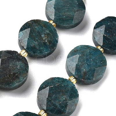 Natural Apatite Beads Strands G-C116-A159-03-1