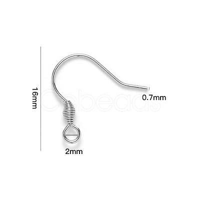 Tarnish Resistant 304 Stainless Steel Earring Hooks STAS-S111-011-1