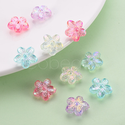 Transparent Acrylic Beads TACR-S154-45C-1