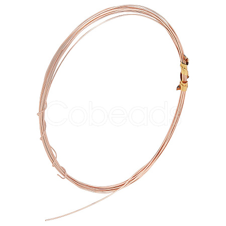 925 Sterling Silver Wire FIND-PH0008-40RG-1