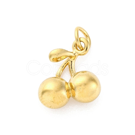 304 Stainless Steel Charms STAS-U049-01A-01G-1