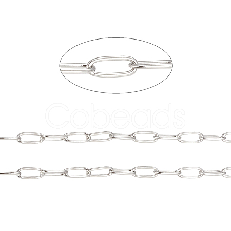 Tarnish Resistant 304 Stainless Steel Paperclip Chains CHS-F010-01I-P-1