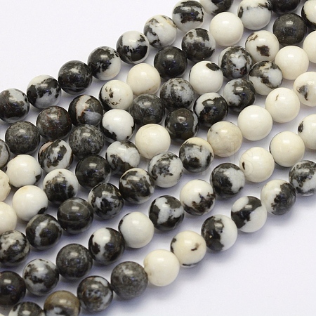 Natural Black Zebra Jasper Beads Strands G-G697-F02-6mm-1