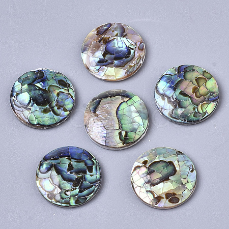 Natural Abalone Shell/Paua Shell Cabochons SSHEL-N034-45-1