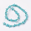 Synthetic Turquoise Beads Strands G-E456-06A-15mm-2