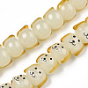 Handmade Lampwork Beads Strands LAMP-N021-42F-1
