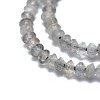 Natural Labradorite Beads Strands G-I249-D17-3
