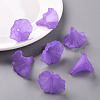 Transparent Acrylic Beads BSF796-C26-8