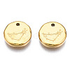 316 Surgical Stainless Steel Charms STAS-S116-418C-G-2