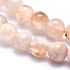 Natural Cherry Blossom Agate Beads Strands G-I213-23-6mm-3