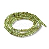 Natural Peridot Beads Strands G-M421-B04-02-3