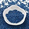 Baking Paint Glass Seed Beads X-SEED-S042-05B-75-2