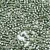 FGB 11/0 Grade A Baking Paint Glass Seed Beads SEED-S030-1208-2
