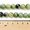 Natural Serpentine Beads Strands G-Z110-C04-10mm-5