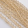 Bicone Glass Beads Strands EGLA-P016-3mm-12-1