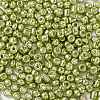 6/0 Glass Seed Beads SEED-A017-4mm-1112-2