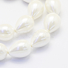 Shell Pearl Beads Strands BSHE-P024-10-3