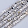Natural Labradorite Beads Strands G-R475-025A-1