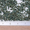 MIYUKI Delica Beads Small X-SEED-J020-DBS0125-4